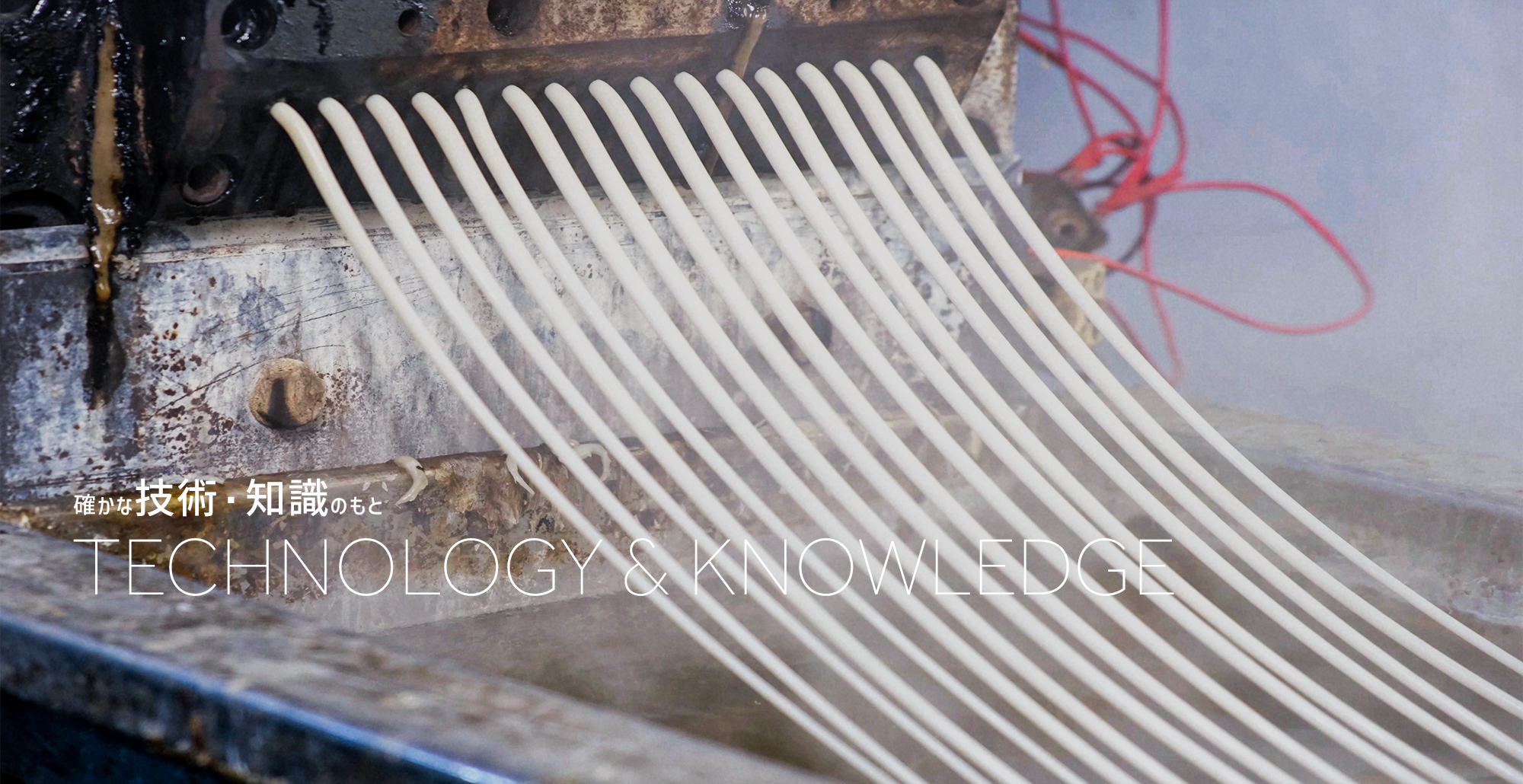 有限会社丸八化工